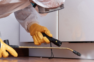 Messie Schädlingsbekämpfung Ahlen